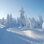 Hostel Nuoriso- Ja Luontomatkailukeskus Oivanki