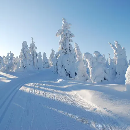 Albergue Nuoriso- Ja Luontomatkailukeskus Oivanki