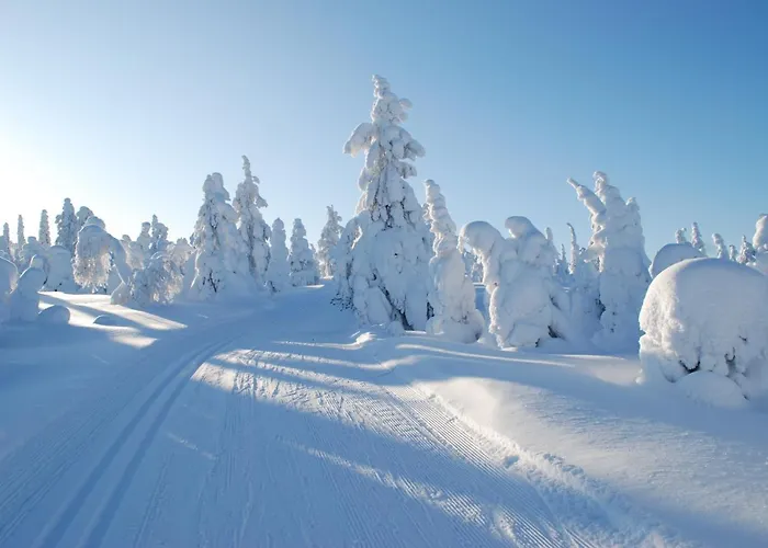 Hostel Nuoriso- Ja Luontomatkailukeskus Oivanki